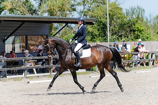 NER, RC Dressage Qualifier, Killossery, 20/06/2026