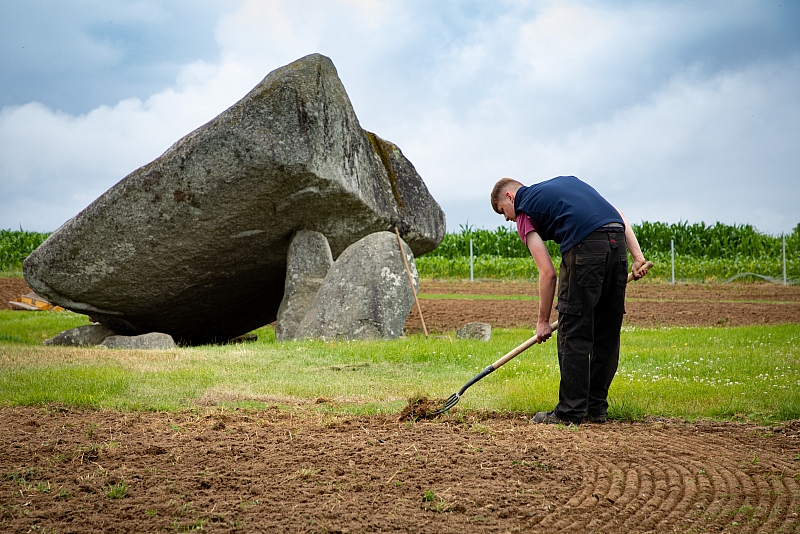 _MG_9760Ask Me Landscaping.jpg